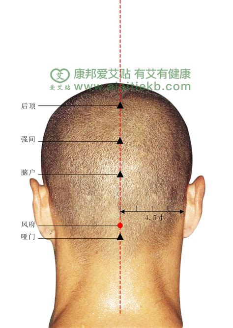 十三鬼穴位置